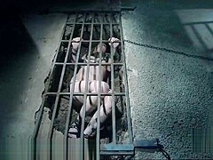 Dungeon BDSM Slave Chained in a Hole